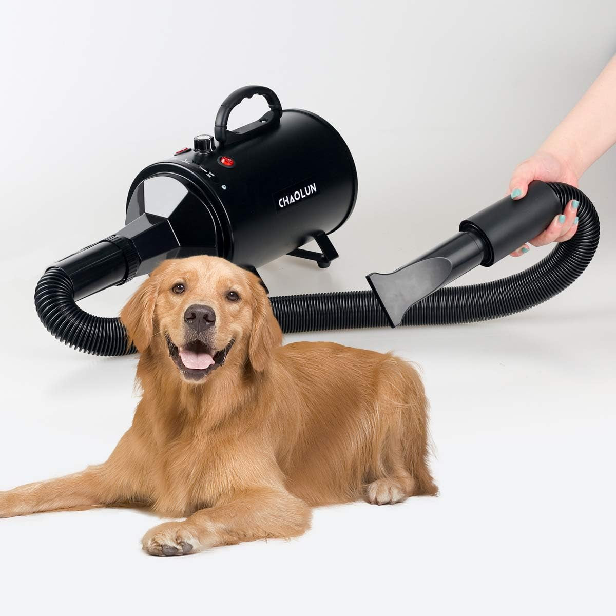 High Velocity Dog Dryer Blower, Professional Dog Grooming Dryer, Dog Blow Dryer, Pet Hair Dryer with Heater, Powerful Blow Force, Adjustable Speed, Quickly Dry, Black